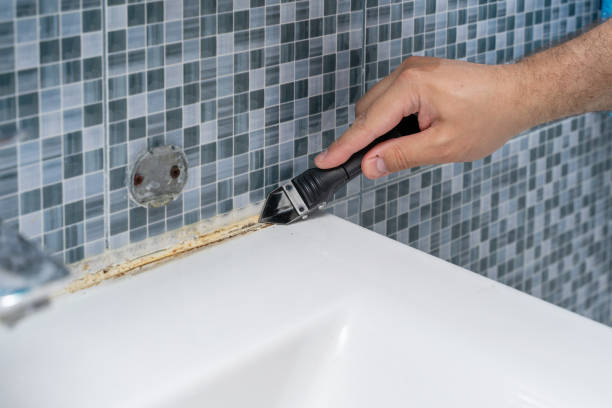 Best Toxic Mold Removal  in Riverside, MD