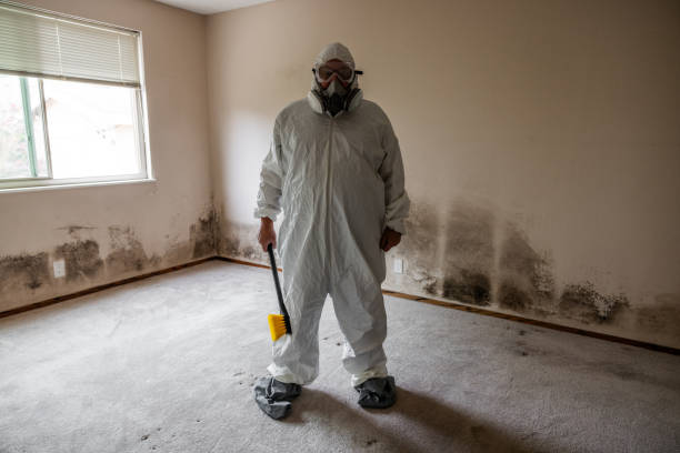 Attic Mold Removal in Riverside, MD